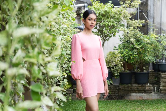 Mini Rose Dress view 5